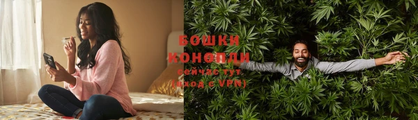 молекула духа Белоозёрский
