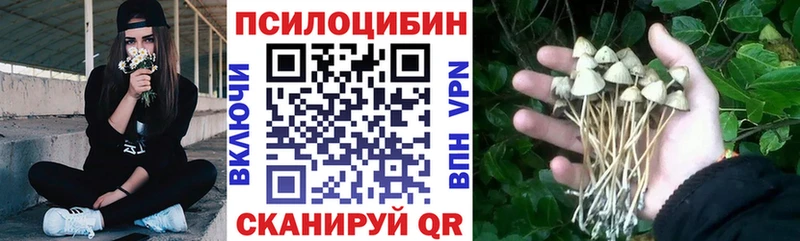 Псилоцибиновые грибы Magic Shrooms  Южно-Сухокумск 