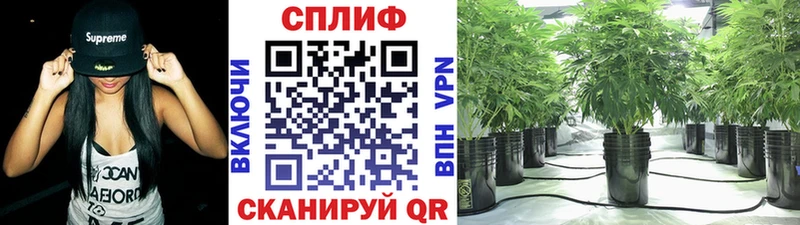 Марихуана гибрид  Южно-Сухокумск 